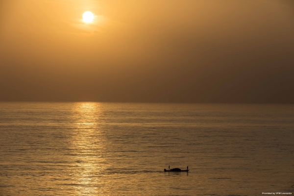 InterContinental Hotels FUJAIRAH RESORT (Fujairah)